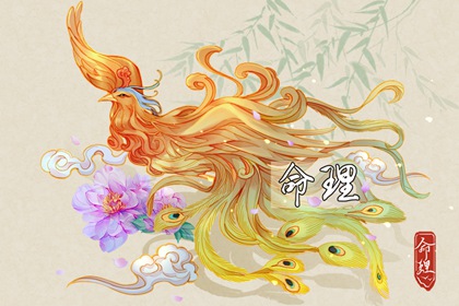 老皇历_择吉老黄历皇历_择吉皇历