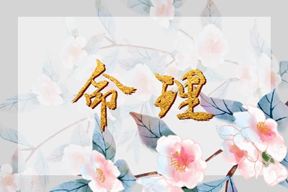 万年历日历 日历表日历 倒计时日历